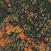 Small image